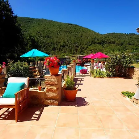 Joyeux - L'olivier - En Cevennes Saint-Florent-sur-Auzonnet